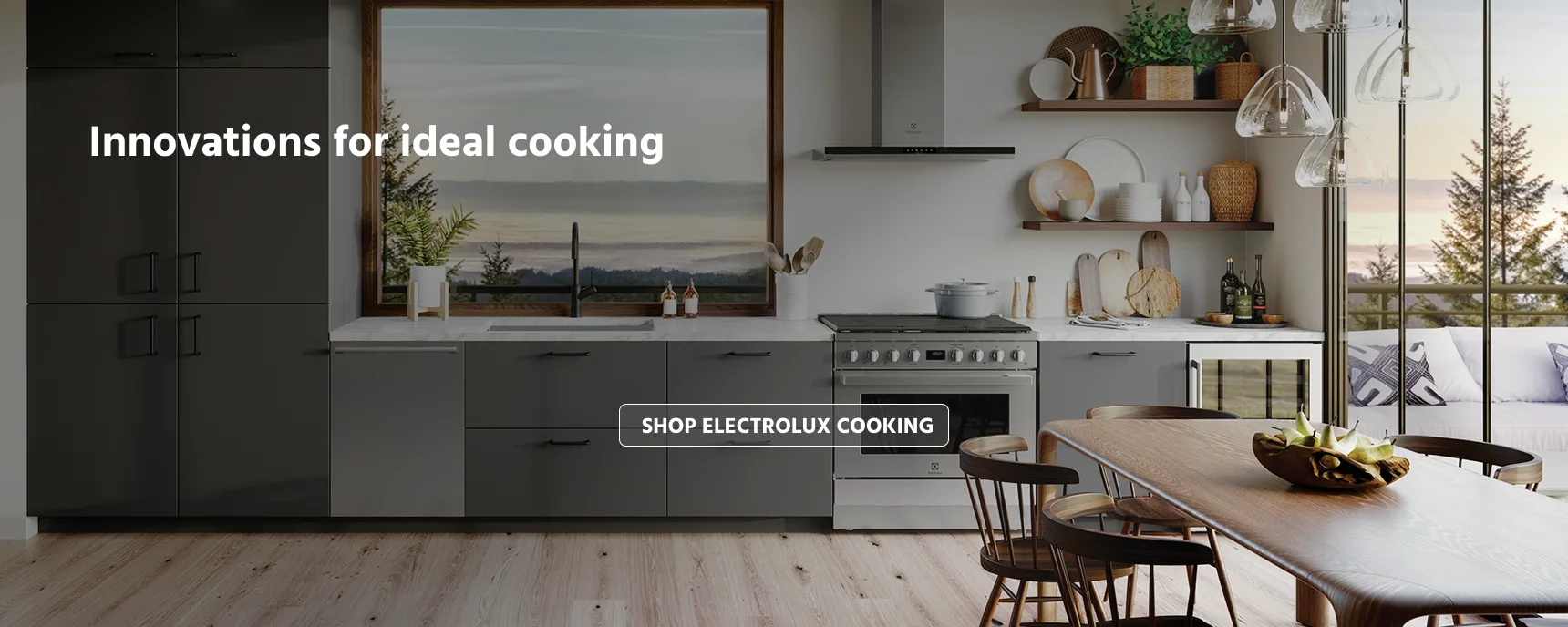 electrolux ranges, cooktops and hoods innovations for cooking ,Wall Ovens 