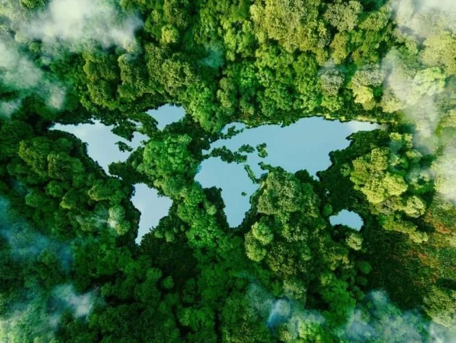 ENERGY STAR(R) Most Ef cient - Our products deliver cutting edge efficiency with the latest innovation.