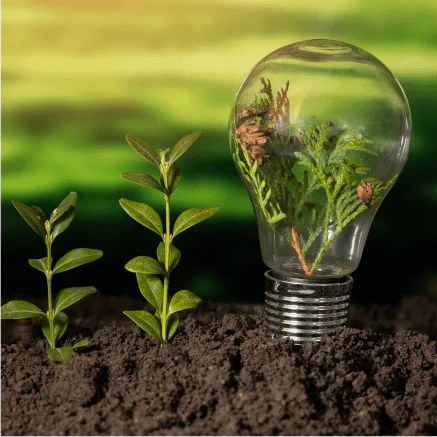 Decarbonization Support