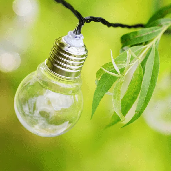 Decarbonization Support