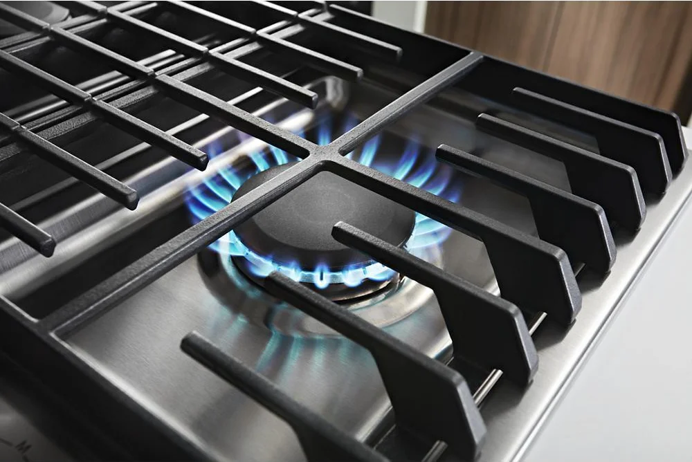 17K BTU Professional Burner