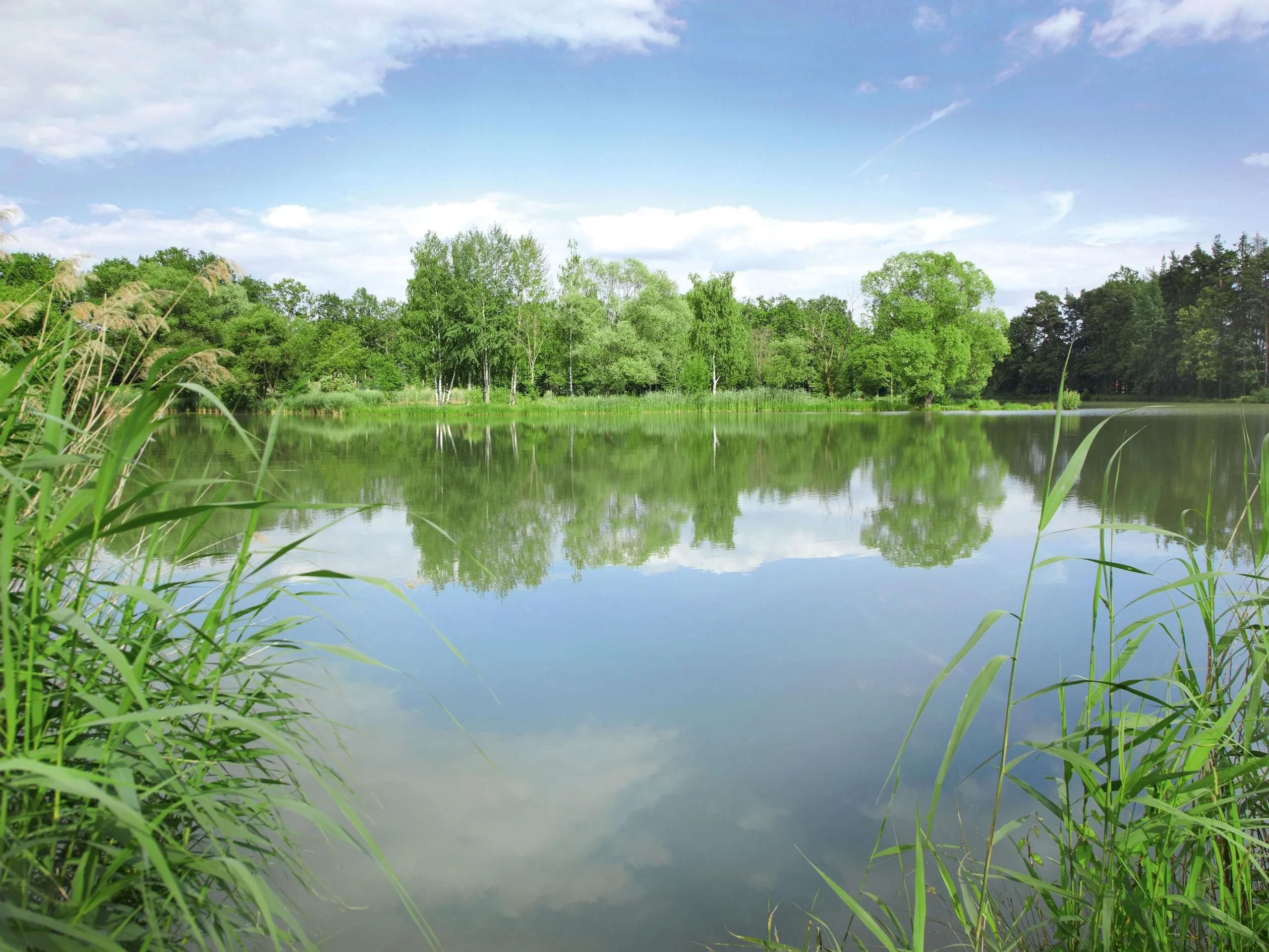 100% recycled plastic