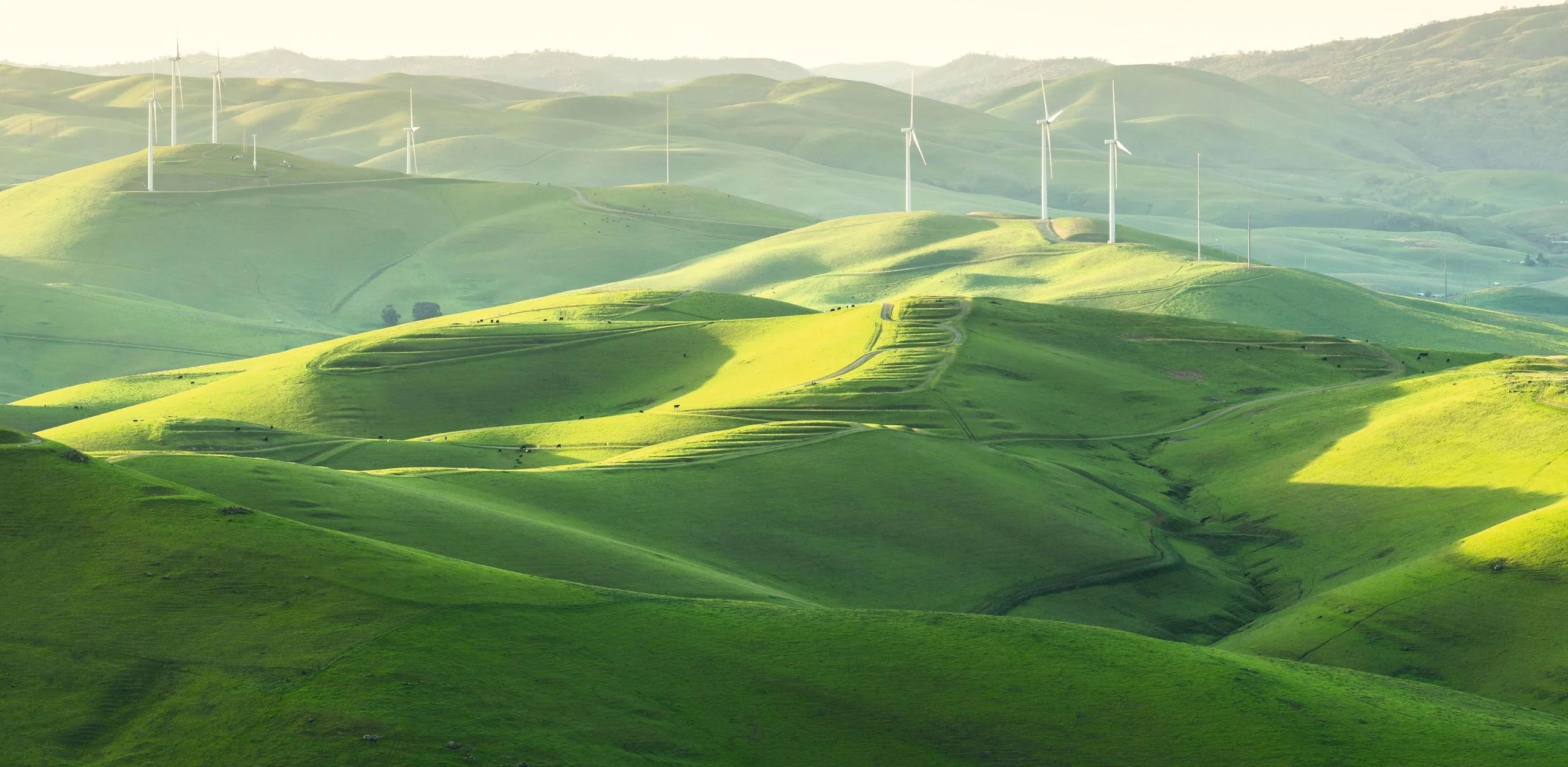 100% recycled plastic