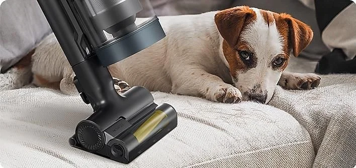 Say Goodbye to Pet Hair