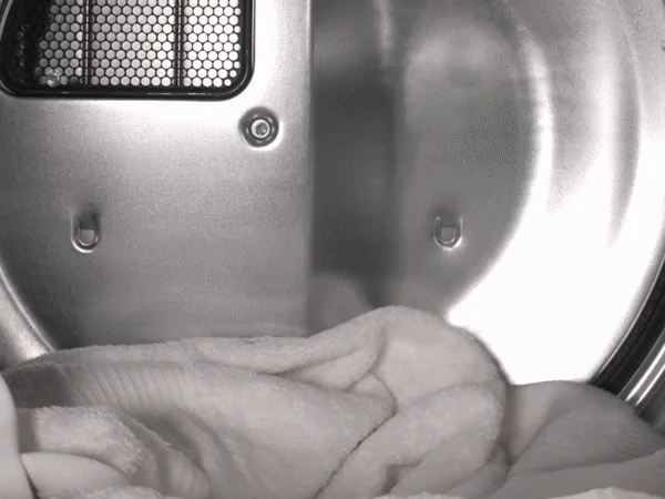 Sanitize for Peace of Mind