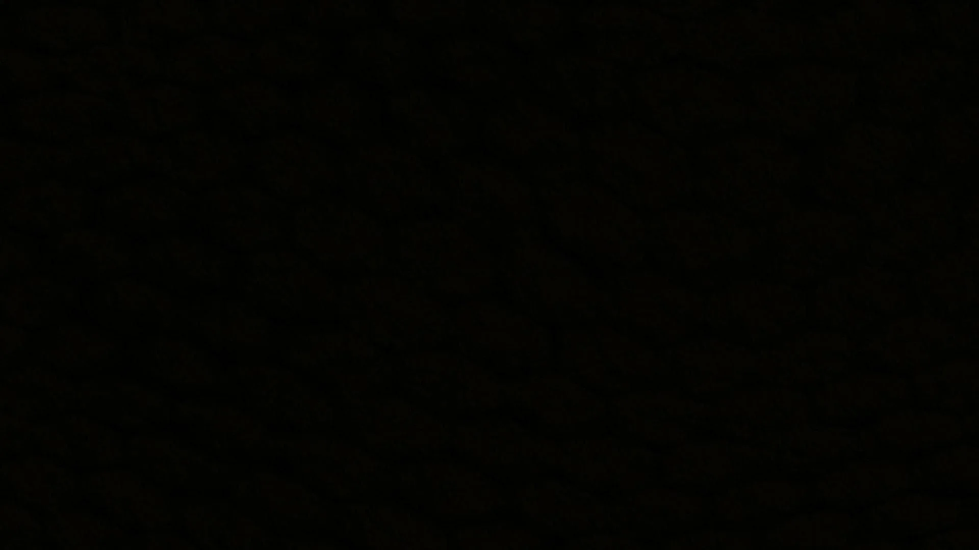 TRI-ZONE LIGHTNINGBOIL(TM) BURNER
