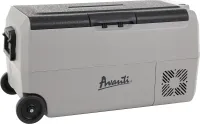 36L Portable AC/DC Cooler - Gray / 36 Liter