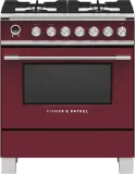 Fisher & Paykel-OR30SCG6R1
