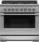 Fisher & Paykel RGV3366N