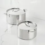 Polished Clad Stainless Steel Stockpot with Lid 12-quart