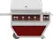 Hestan GABR42CX2TINROOF