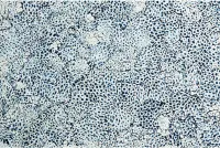 24" Elements Collection Eggshell Snakeskin Sapphire Custom Column Panel