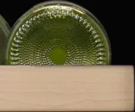 Half-width Flat Shelf