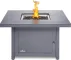 Napoleon BBQ HAMP2GY