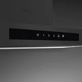 30" Built-In Ducted Hood