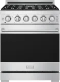 30 Inch Professional Gas With Precision Knob Control In Stainless Steel