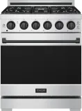 30 Inch Professional Gas With Precision Knob Control In Stainless Steel/black
