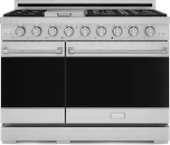 48 Inch Professional LP Range with Pro