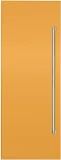 Stainless Steel or Color Door Panel - VICDP30 Stainless Steel or Color Door Panel