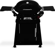Q 2800N+ Gas Grill with Stand (Liquid Propane) - Midnight Black
