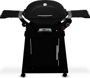 Q 2800N+ Gas Grill with Stand (Liquid Propane) - Charcoal Grey