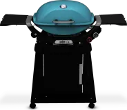 Q 2800N+ Gas Grill with Stand (Liquid Propane) - Sky Blue