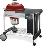 Performer Deluxe Charcoal Grill - 22
