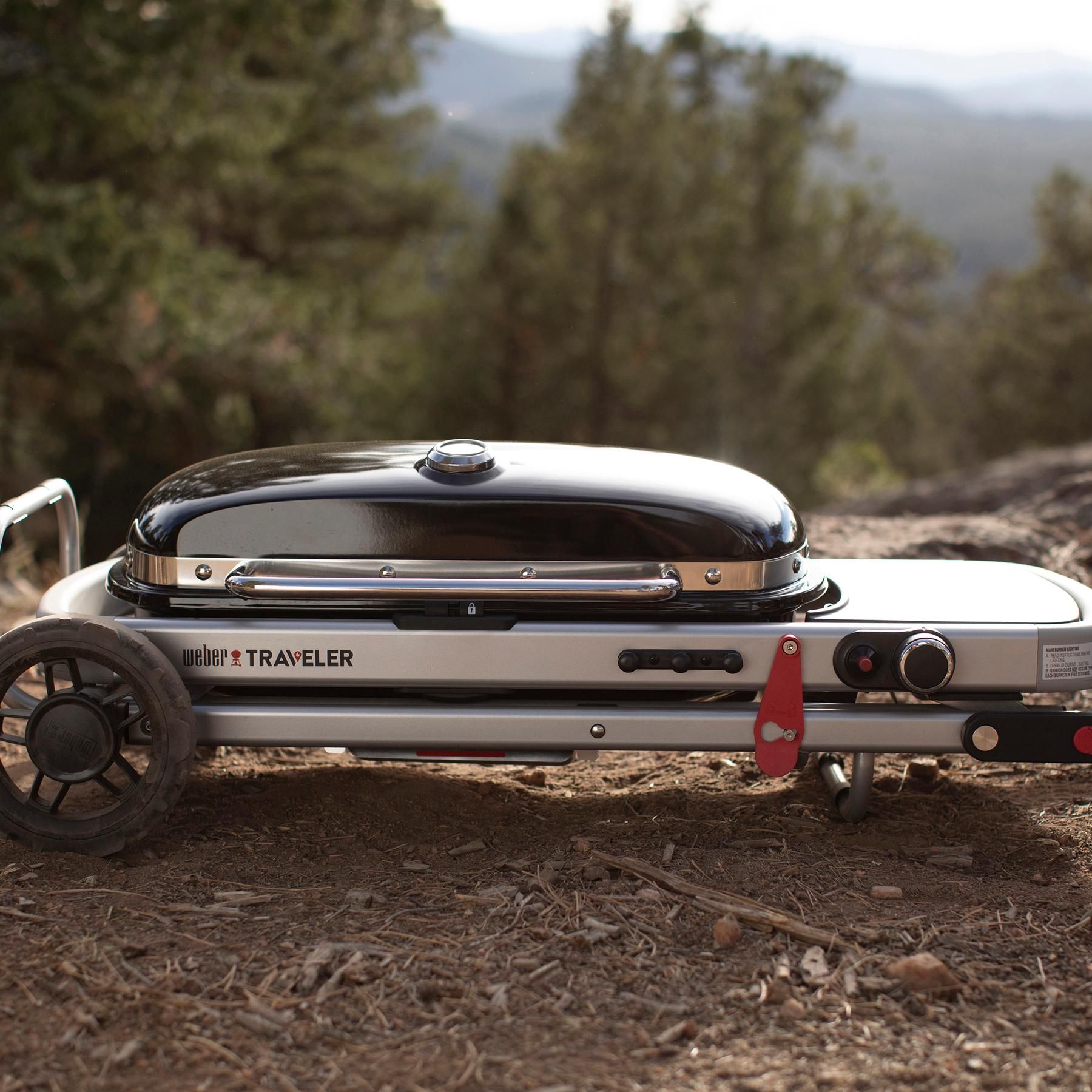 WEBER 9010001